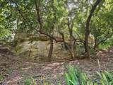 432 Fernwood Pacific - Photo 68