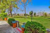 68882 Calle Mula - Photo 2