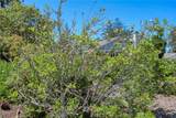 435 Eucalyptus Road - Photo 50
