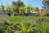 435 Eucalyptus Road - Photo 51