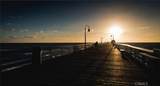 75 Marbella - Photo 49