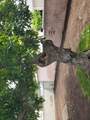1133 58th - Photo 25