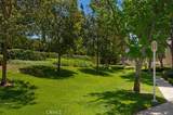 230 Grisly Canyon Drive - Photo 21