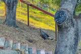 10662 Santa Ana Road - Photo 60