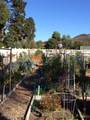 11240 Village 11 - Photo 49