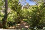 5 Kewen Place - Photo 57
