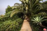 28823 Cliffside Drive - Photo 46