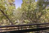 42598 Alta Vista Avenue - Photo 34