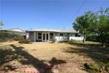 25781 Plum Hollow - Photo 16