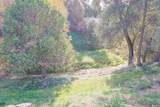 25077 Manzanita Lane - Photo 45