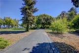 15686 Cozzi Avenue - Photo 66