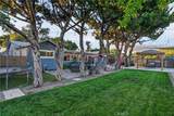 5303 Carrizo - Photo 48