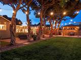 5303 Carrizo - Photo 67