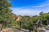 14773 Tamarix - Photo 14