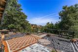 14773 Tamarix - Photo 15
