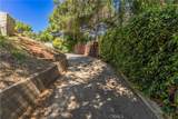 14773 Tamarix - Photo 17