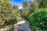 14773 Tamarix - Photo 18