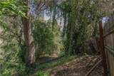 14773 Tamarix - Photo 19