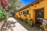 14773 Tamarix - Photo 2