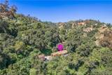 14773 Tamarix - Photo 22