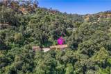 14773 Tamarix - Photo 23