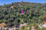 14773 Tamarix - Photo 24