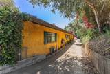 14773 Tamarix - Photo 3