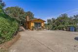14773 Tamarix - Photo 4