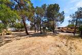 11835 Old Ranch Road - Photo 5