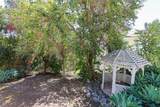 1121 Pinto - Photo 52