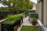 27937 Carrington - Photo 8