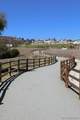 21715 Deer Grass - Photo 60