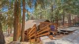 31347 Circle View Drive - Photo 4