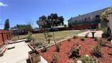 111 Poinsettia - Photo 28