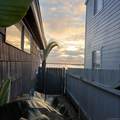 3403 Riviera - Photo 30