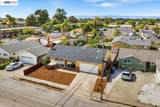 37229 Edith St - Photo 18