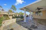 24884 Butterchurn - Photo 4