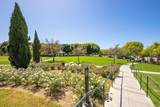 2669 Paradise Road - Photo 46