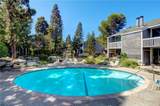 25659 Pine Creek Ln - Photo 2