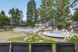 25659 Pine Creek Ln - Photo 25