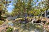 25659 Pine Creek Ln - Photo 27