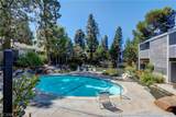 25659 Pine Creek Ln - Photo 3