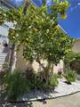 1129 Clark - Photo 2