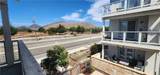 825 Madonna - Photo 15