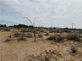 34805 Newberry - Photo 10