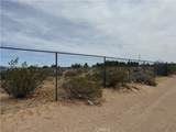34805 Newberry - Photo 11
