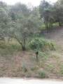 0 Wildwood - Photo 6