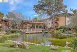 1333 Webster Street - Photo 43