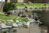 1333 Webster Street - Photo 44