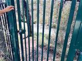 8043 Caminito De Pizza - Photo 15